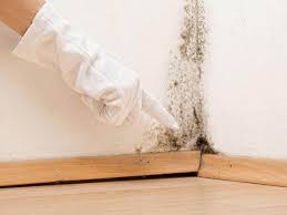 Best Residential Mold Inspection & Testing  in South Lockport, NY